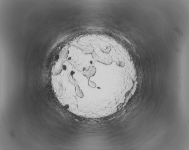 X0000111051255200908061510