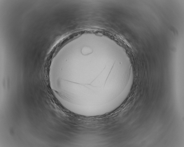 X0000111051256200908061510