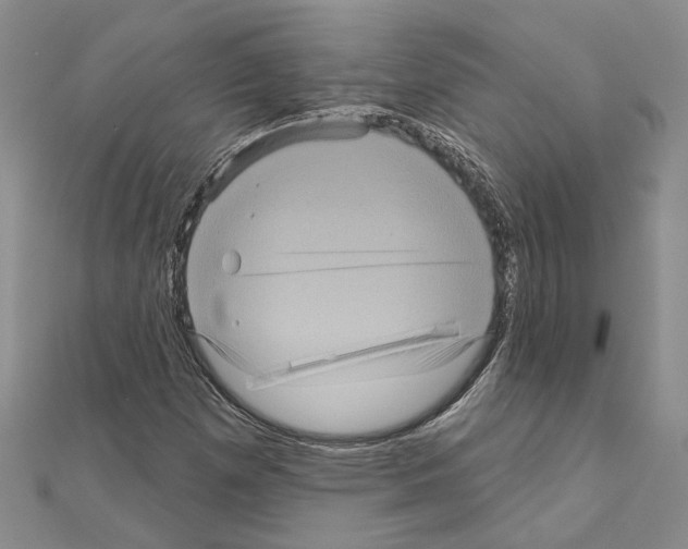 X0000111051257200908061510