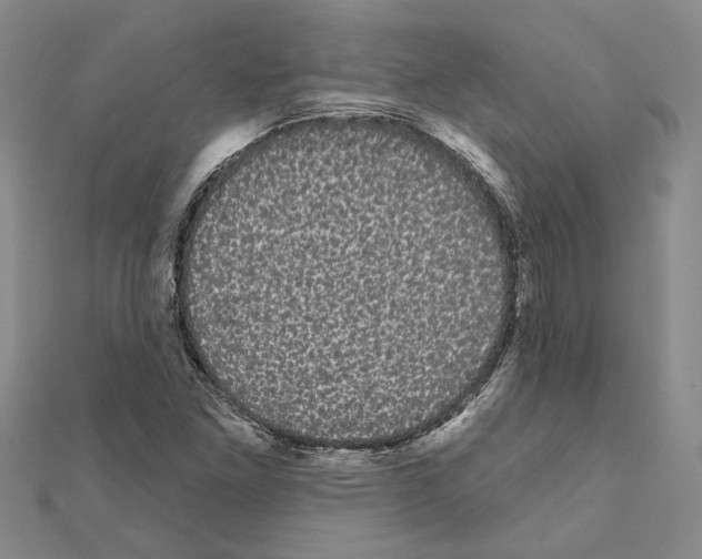 X0000111051261200908061510