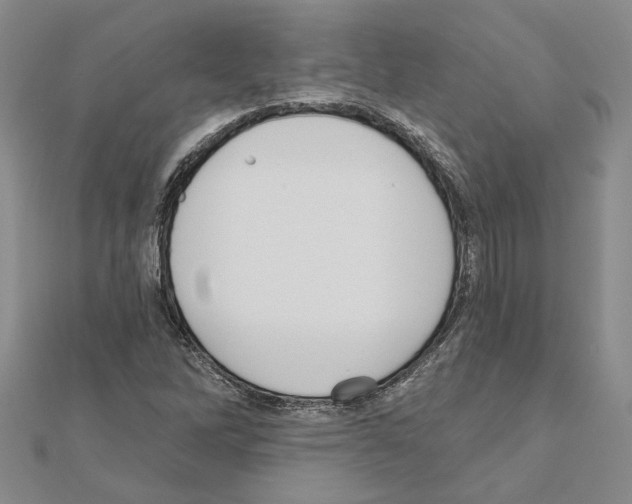 X0000111051262200908061510