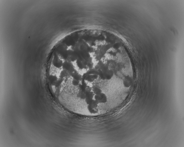 X0000111051263200908061510