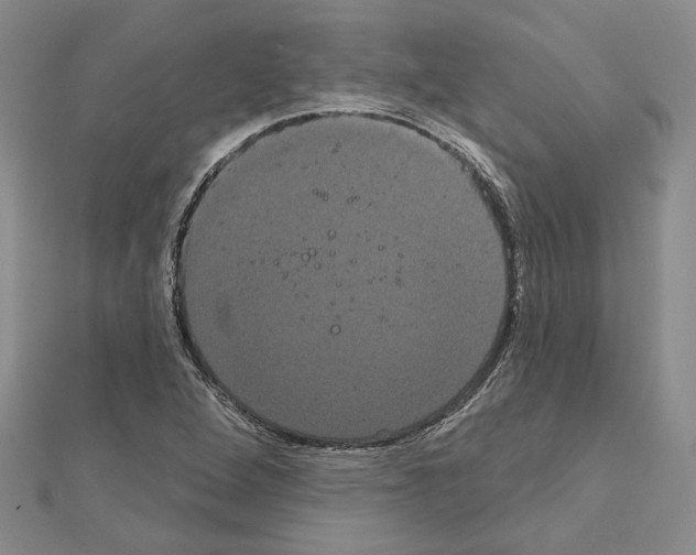 X0000111051264200908061510