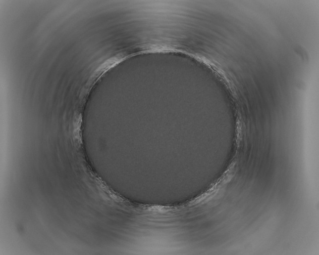 X0000111051265200908061510