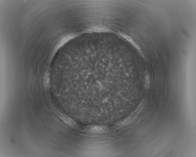 X0000111051266200908061510