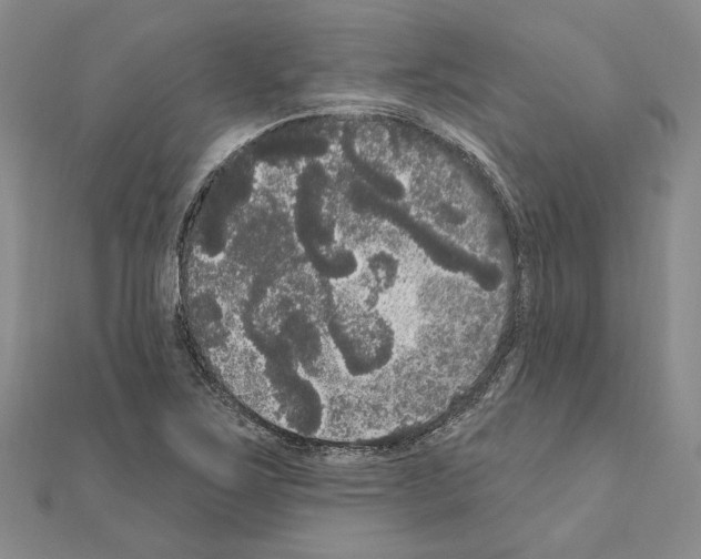 X0000111051267200908061510