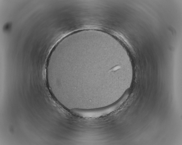 X0000111051268200908061510