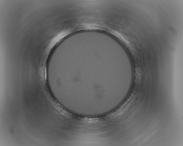 X0000111051269200908061510