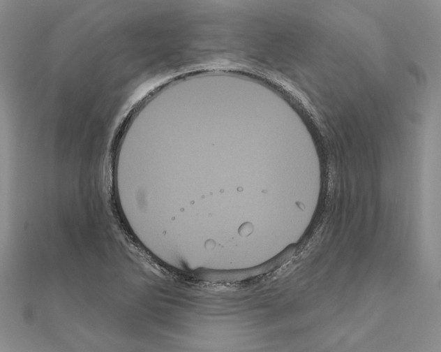 X0000111051270200908061510