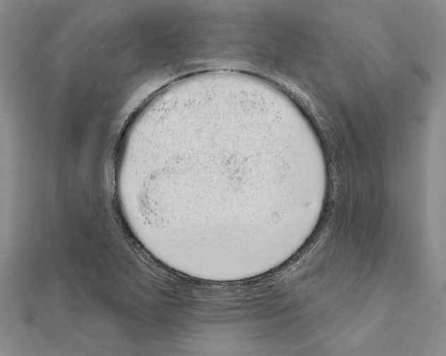 X0000111051271200908061510