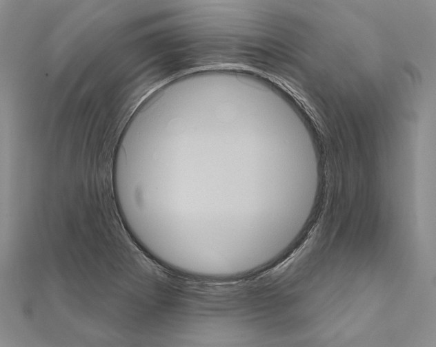 X0000111051273200908061510