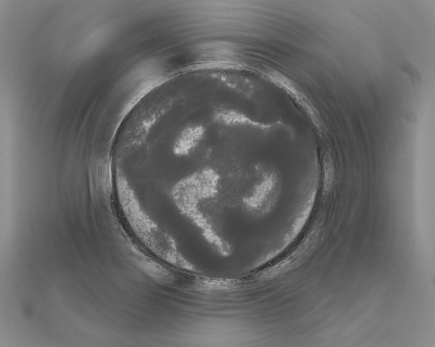 X0000111051274200908061510