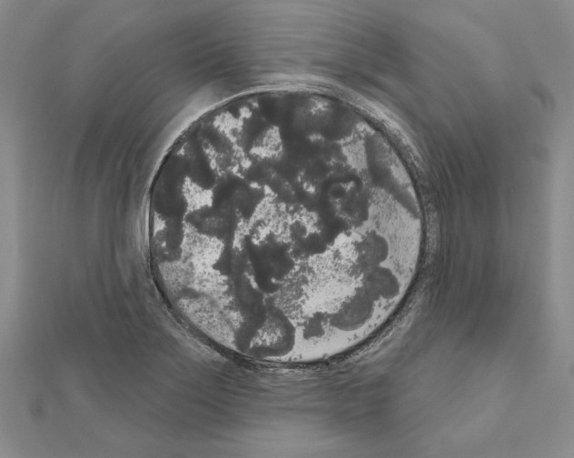 X0000111051275200908061510