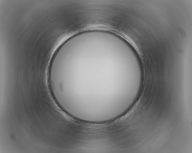 X0000111051277200908061510