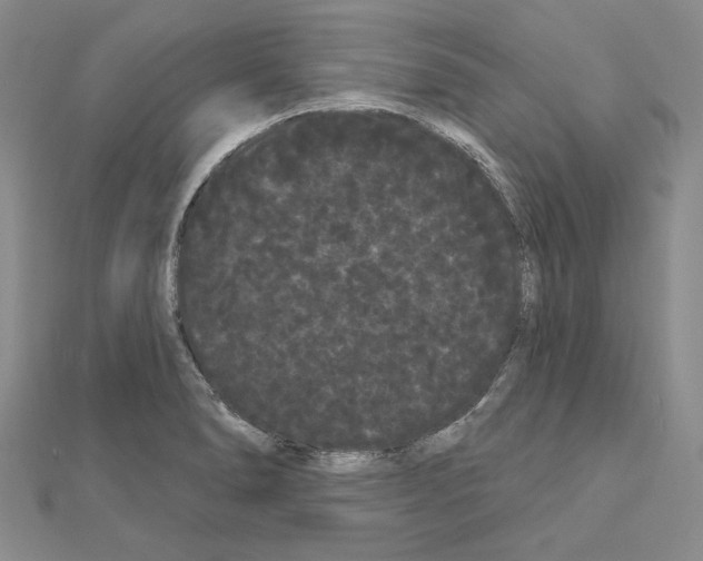 X0000111051278200908061510