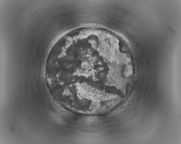 X0000111051279200908061510