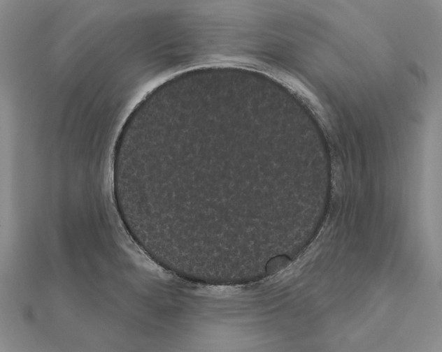 X0000111051280200908061510