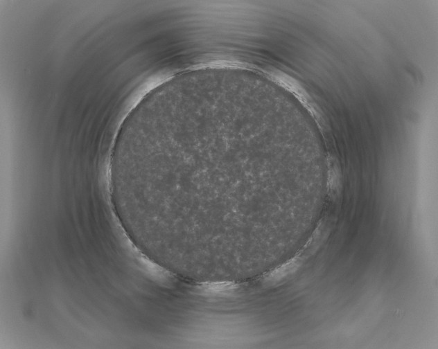 X0000111051282200908061510