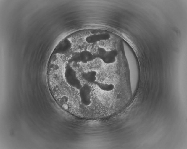 X0000111051283200908061510