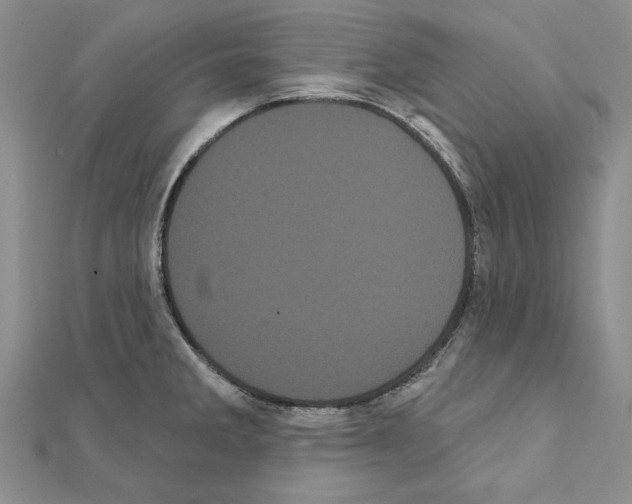 X0000111051285200908061510