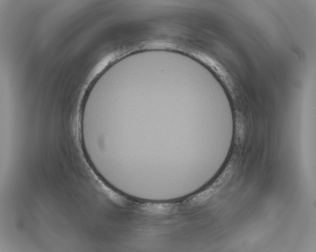 X0000111051286200908061510