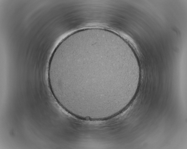 X0000111051288200908061510