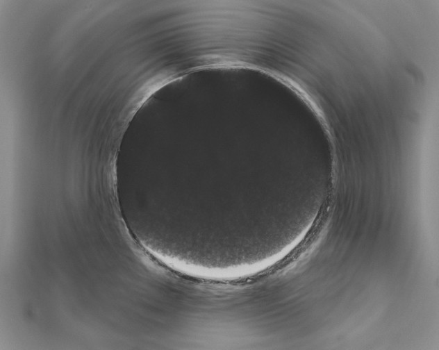 X0000111051289200908061510