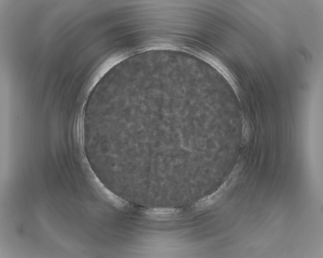 X0000111051290200908061510