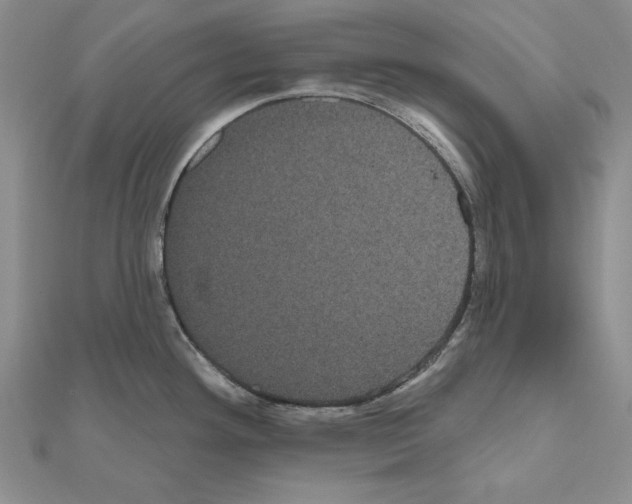 X0000111051292200908061510