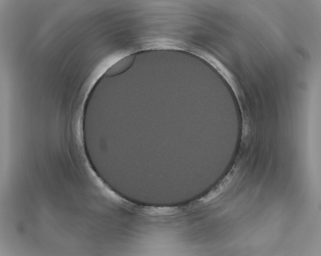 X0000111051293200908061510