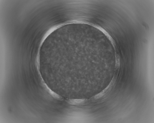 X0000111051294200908061510