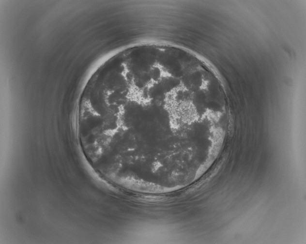 X0000111051295200908061510