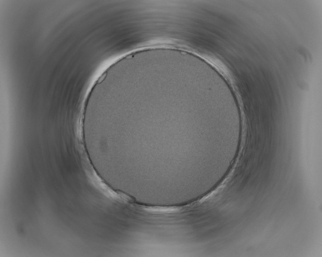 X0000111051296200908061510