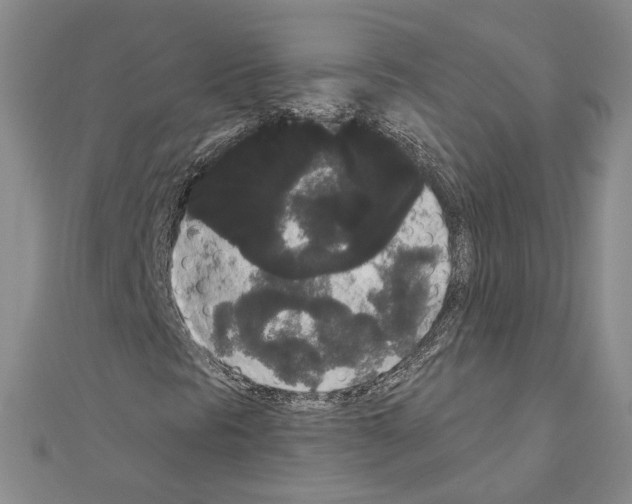 X0000111051297200908061509