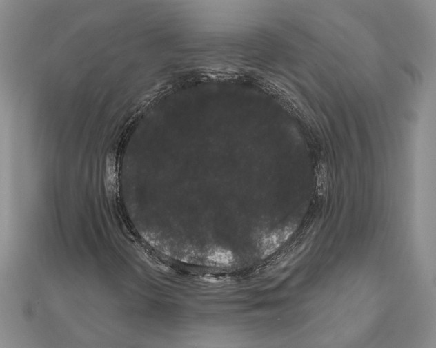 X0000111051298200908061509