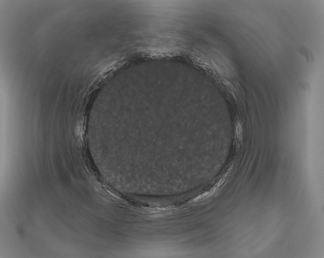 X0000111051300200908061509