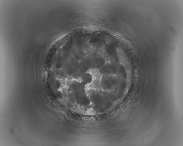 X0000111051302200908061509