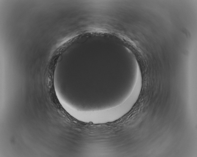 X0000111051303200908061509