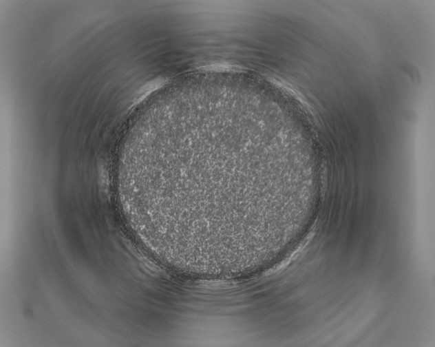 X0000111051305200908061509