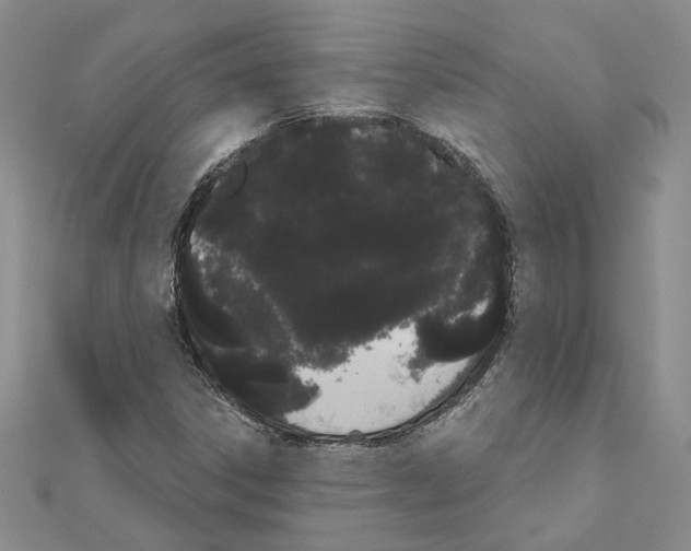 X0000111051306200908061509