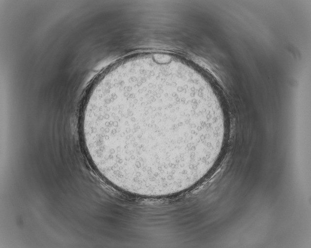 X0000111051307200908061509