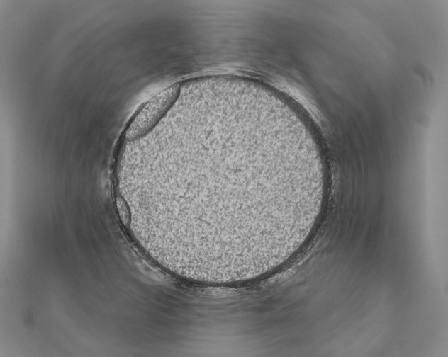 X0000111051308200908061509