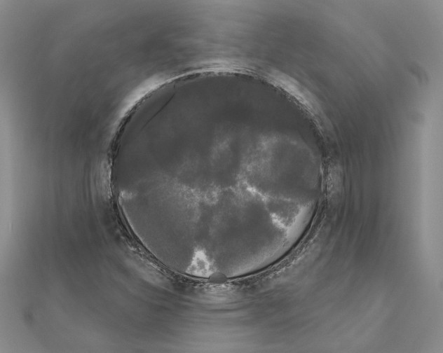 X0000111051310200908061509