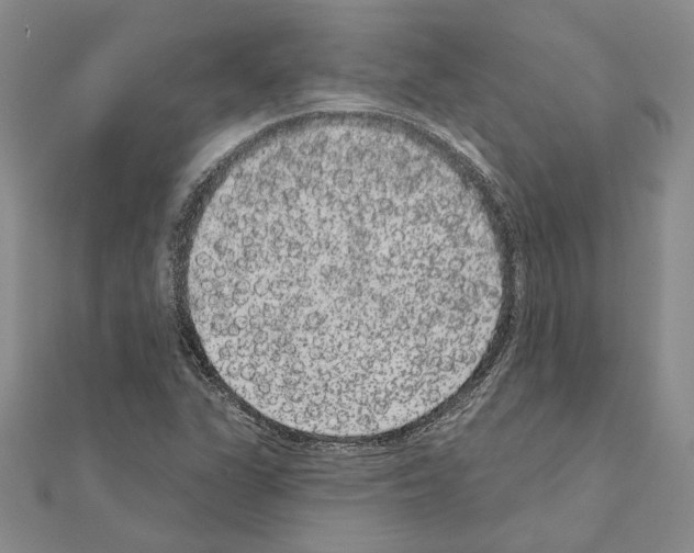 X0000111051311200908061509