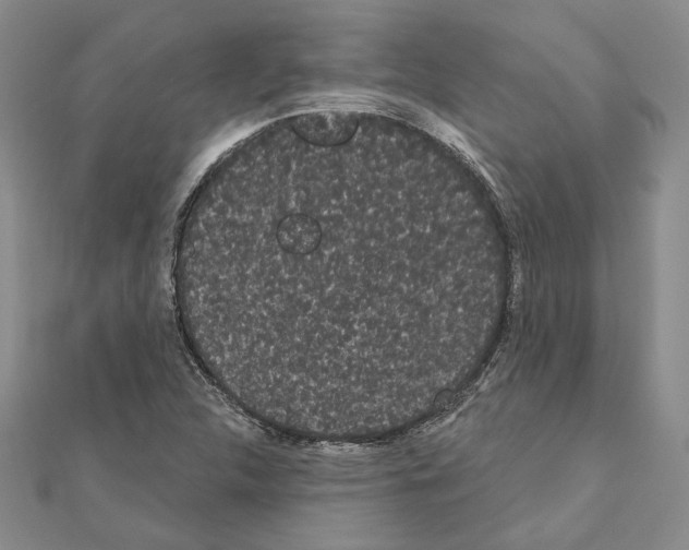 X0000111051312200908061509