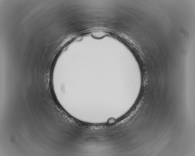 X0000111051313200908061509