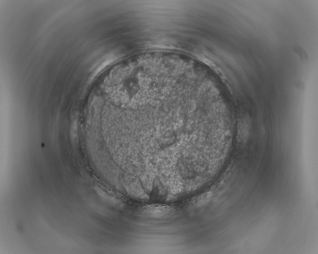 X0000111051314200908061509