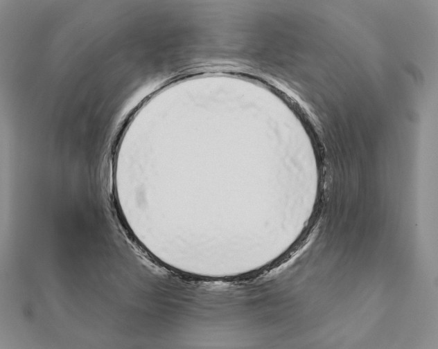 X0000111051317200908061509