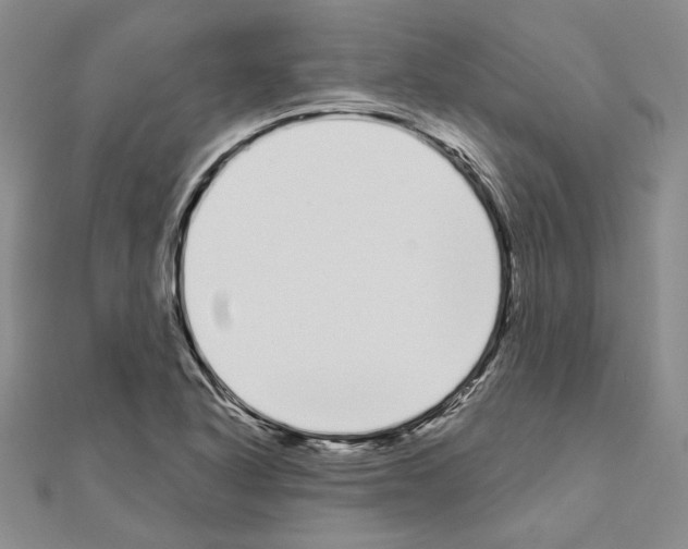 X0000111051318200908061509