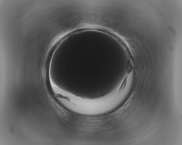 X0000111051319200908061509